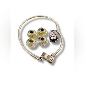 Silver Bracelet w/ Charms